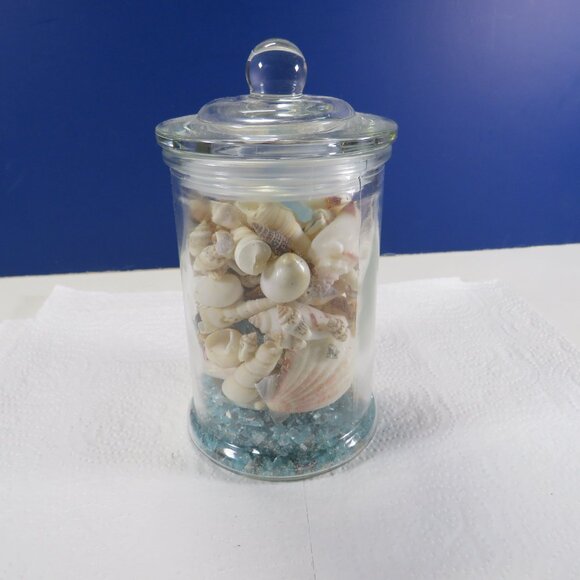 REAL sea shells in a New Glass Jar w seal & lid 5.75" tall (1+ pounds) - Picture 4 of 14